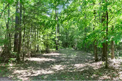 0 Apt-To-Miss Road, Monticello, GA 31064 - Photo 36