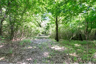 0 Apt-To-Miss Road, Monticello, GA 31064 - Photo 20