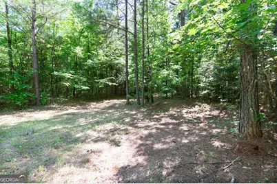 0 Apt-To-Miss Road, Monticello, GA 31064 - Photo 34