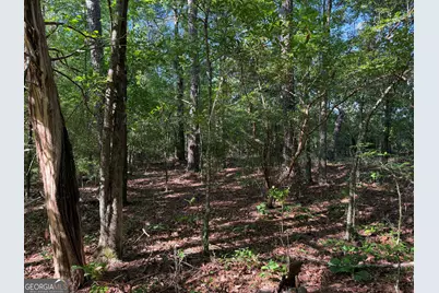 1.2 Acres Beasley Road, Roberta, GA 31078 - Photo 4