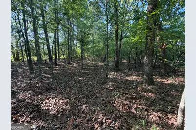 1.2 Acres Beasley Road, Roberta, GA 31078 - Photo 6
