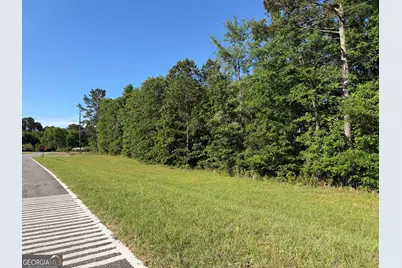 1.2 Acres Beasley Road, Roberta, GA 31078 - Photo 2