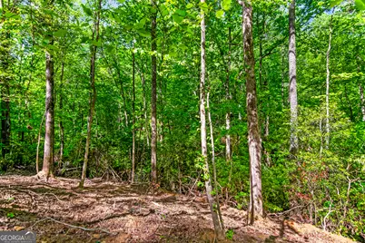 1472 Nugget Lane, Ellijay, GA 30540 - Photo 26