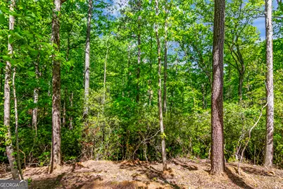 1472 Nugget Lane, Ellijay, GA 30540 - Photo 24