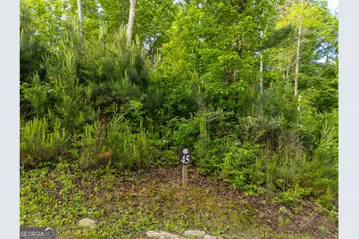 Lot 45 Hilton Drive, Ellijay, GA 30540 - Photo 4