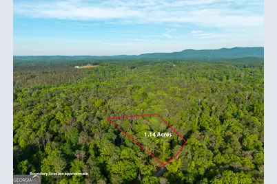 Lot 45 Hilton Drive, Ellijay, GA 30540 - Photo 8