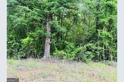 0 Lee Lane #LOT 2, Greenville, GA 30222 - Photo 4