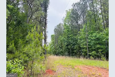 0 Lee Lane, Greenville, GA 30222 - Photo 8