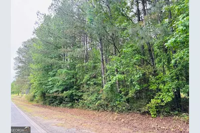 0 Lee Lane, Greenville, GA 30222 - Photo 6