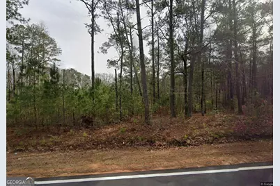 2198 N Walkers Mill Road, Griffin, GA 30223 - Photo 2