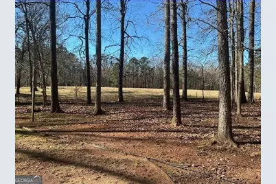 153 Hoot Owl Lane, Eatonton, GA 31024 - Photo 62