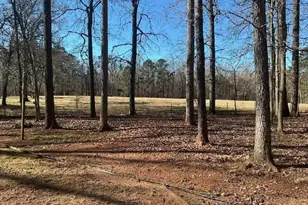 153 Hoot Owl Ln, Eatonton, GA 31024 - Photo 62