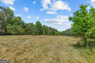 4000 Bostwick Hwy, Madison, GA 30650 - Photo 36