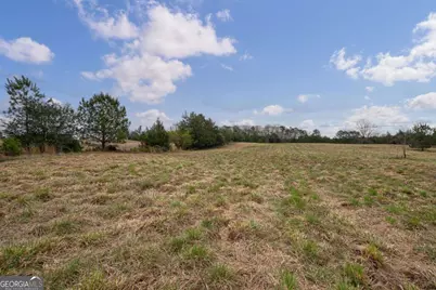 Tract 2 High Shoals Road, Bishop, GA 30621 - Photo 12