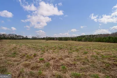 Tract 2 High Shoals Road, Bishop, GA 30621 - Photo 10