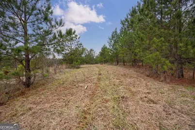 Tract 2 High Shoals Road, Bishop, GA 30621 - Photo 16