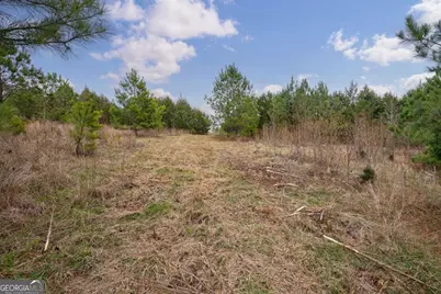 Tract 2 High Shoals Road, Bishop, GA 30621 - Photo 20