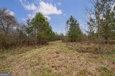 Tract 2 High Shoals Road, Bishop, GA 30621 - Photo 16