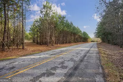 Tract 3 High Shoals Road, Bishop, GA 30621 - Photo 18