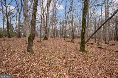 Tract 3 High Shoals Road, Bishop, GA 30621 - Photo 2