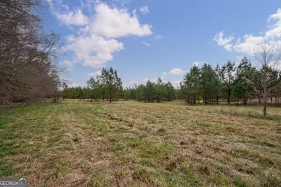 Tract 3 High Shoals Road, Bishop, GA 30621 - Photo 10