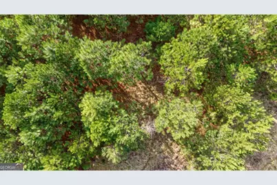 Tract 3 High Shoals Road, Bishop, GA 30621 - Photo 32
