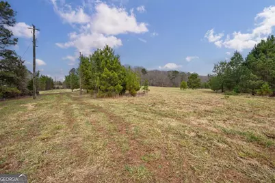 Tract 3 High Shoals Road, Bishop, GA 30621 - Photo 12