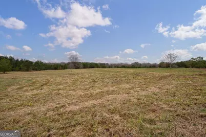 Tract 1-A High Shoals Road, Bishop, GA 30621 - Photo 8