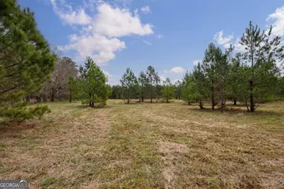 Tract 1-B High Shoals Road, Bishop, GA 30621 - Photo 6