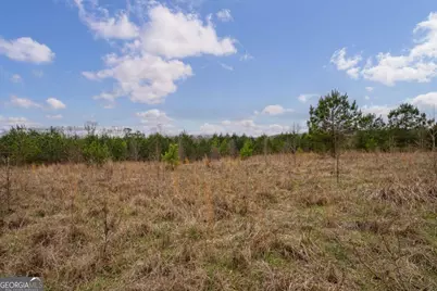 Tract 1-B High Shoals Road, Bishop, GA 30621 - Photo 8