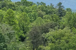 255 Burnt School House Rd, Hayesville, NC 28904 - Photo 2