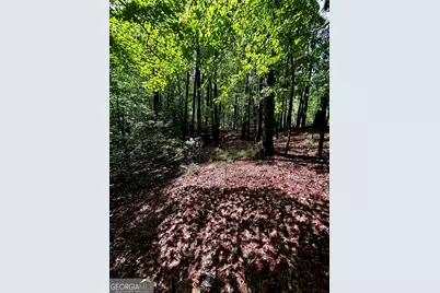 1.08 Acres 00 Lazy River Lane, Ellijay, GA 30540 - Photo 10