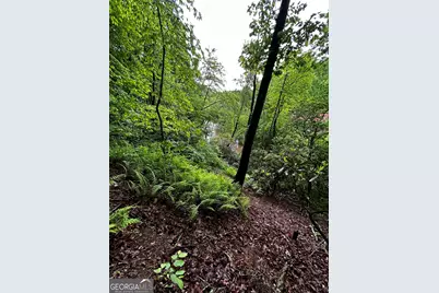 1.08 Acres 00 Lazy River Lane, Ellijay, GA 30540 - Photo 6