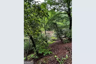 1.08 Acres 00 Lazy River Lane, Ellijay, GA 30540 - Photo 8