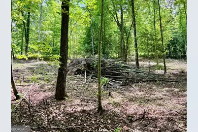 Lot 3 Lower Fox Trail, Blairsville, GA 30512 - Photo 4