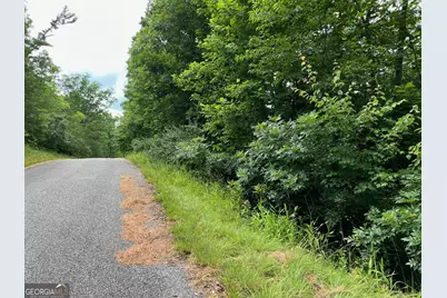 Lot 3 Lower Fox Trail, Blairsville, GA 30512 - Photo 16