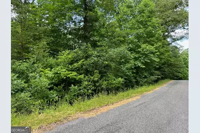 Lot 3 Lower Fox Trail, Blairsville, GA 30512 - Photo 14