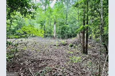 Lot 3 Lower Fox Trail, Blairsville, GA 30512 - Photo 8