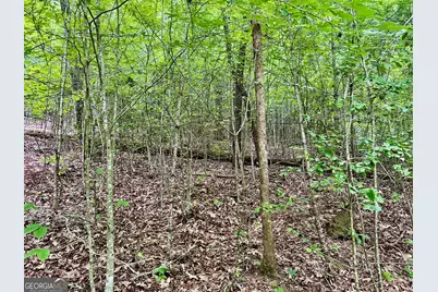 Lot 3 Lower Fox Trail, Blairsville, GA 30512 - Photo 10