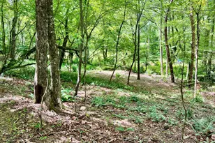 Lot 3 Lower Fox Trail, Blairsville, GA 30512 - Photo 1