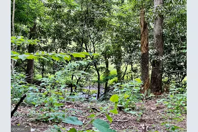 Lot 3 Lower Fox Trail, Blairsville, GA 30512 - Photo 12