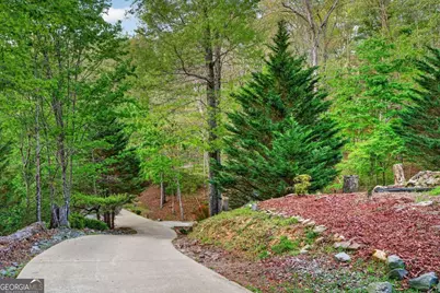 19 The Forest Road #35, Blue Ridge, GA 30513 - Photo 72