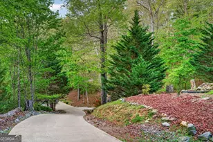 19 The Forest Road, Blue Ridge, GA 30513 - Photo 72