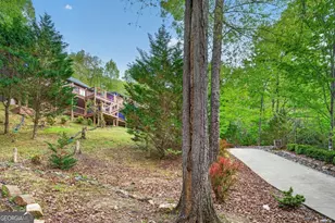 19 The Forest Road, Blue Ridge, GA 30513 - Photo 56