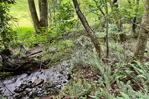 Lot 4 Lower Fox Trail, Blairsville, GA 30512 - Photo 1