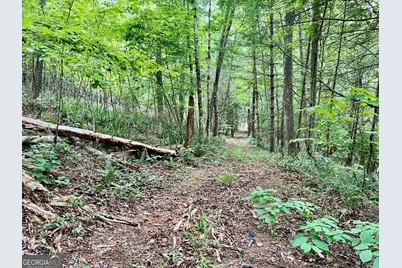 Lot 4 Lower Fox Trail, Blairsville, GA 30512 - Photo 4