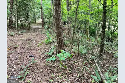Lot 4 Lower Fox Trail, Blairsville, GA 30512 - Photo 8