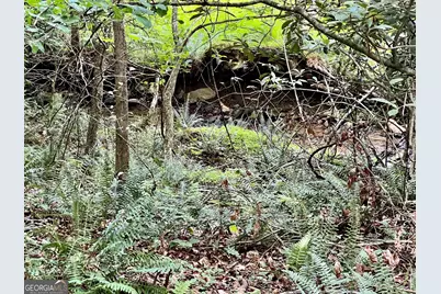Lot 4 Lower Fox Trail, Blairsville, GA 30512 - Photo 16