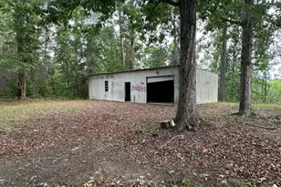 308 Three Rivers Ln, Uvalda, GA 30473 - Photo 24