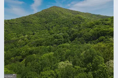 1574 Long Ridge Road, Hiawassee, GA 30546 - Photo 22